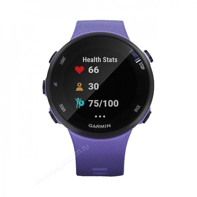 Часы Garmin Forerunner 45S ирис Часы Garmin Forerunner 45S ирис
